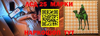 гидропоника Гусь-Хрустальный