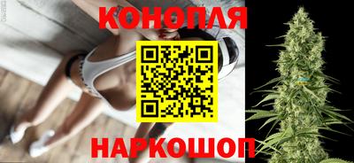 гидропоника Гусь-Хрустальный
