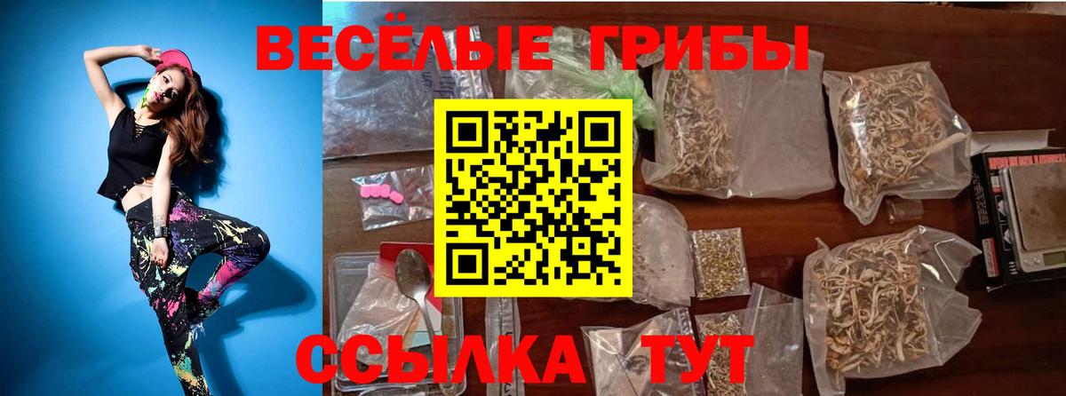 Псилоцибиновые грибы GOLDEN TEACHER  Вход с VPN  Галлюциногенные грибы мухоморы  Йошкар-Ола 